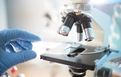 康苰生物 以核心肽科技鑄就匠心產(chǎn)品與卓越服務(wù)